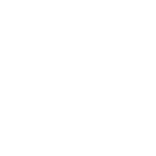 Values Icon
