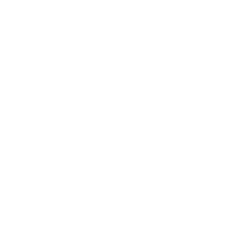Values Icon