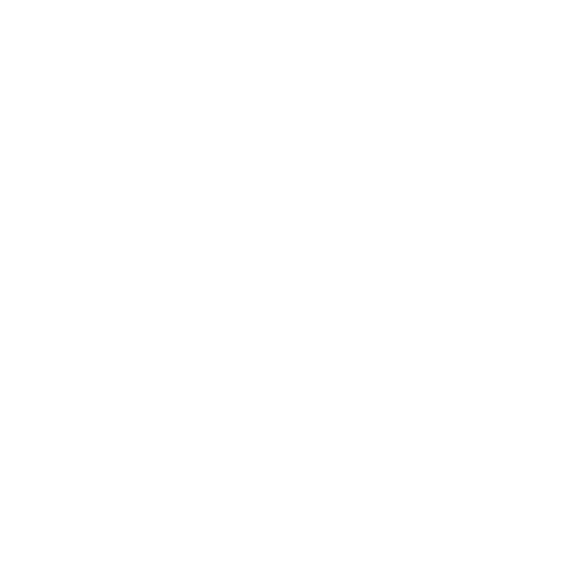 Mission Icon